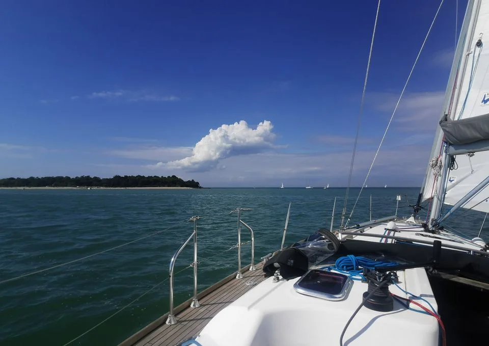 Voilier Bird in blue