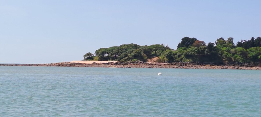 La côte de l'île d'Aix