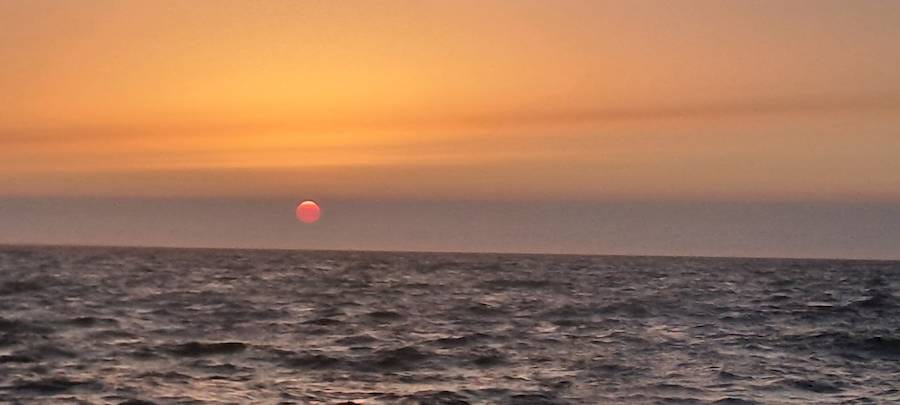 Horatio devant La Flotte !