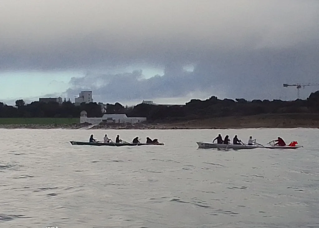 Surprise à l&rsquo;anse de la Fertalière