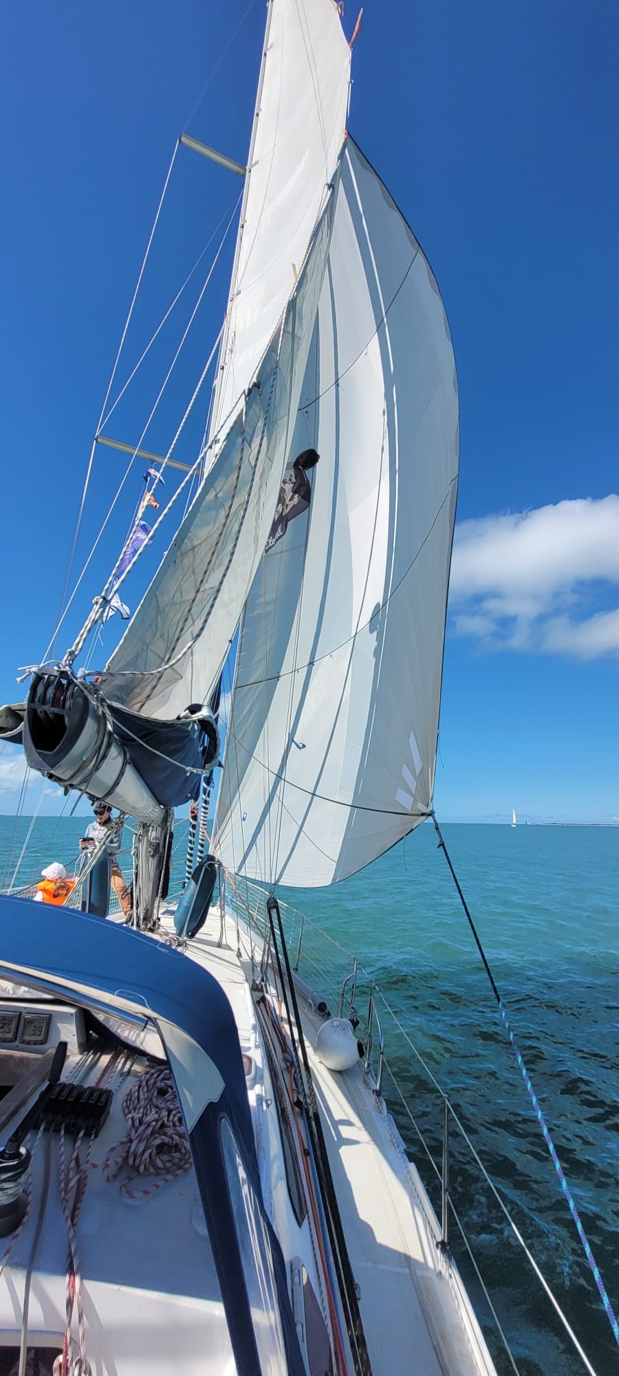 Etonell babord genois