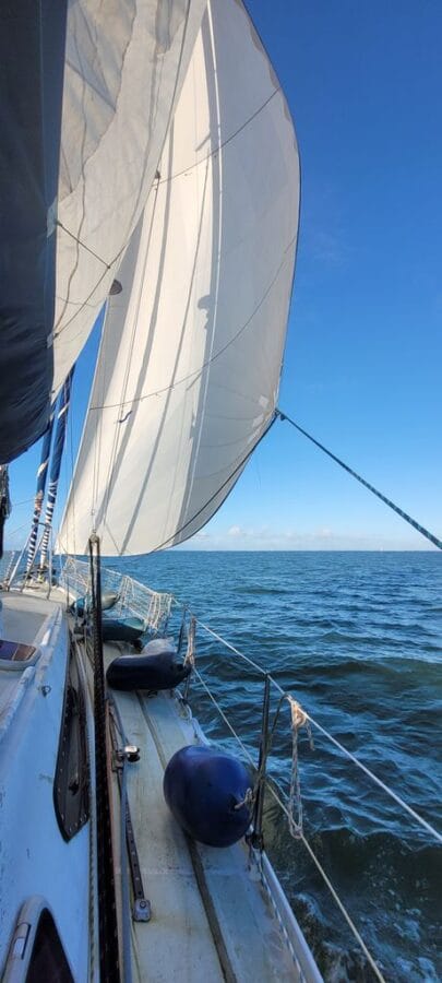 Etonell proue tribord red