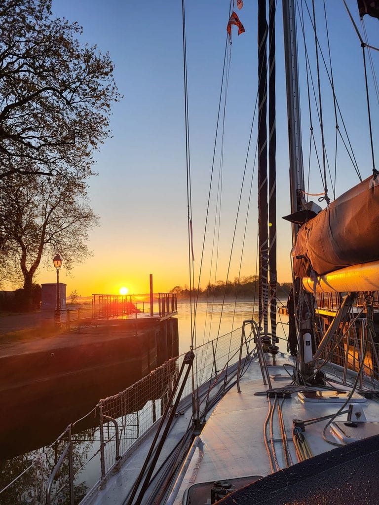 Etonell levesoleil red